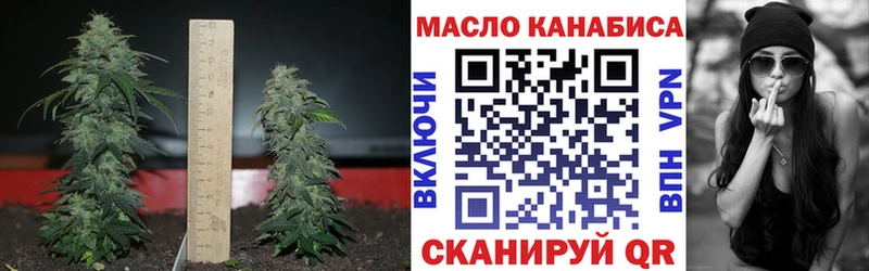 закладки  Бахчисарай  Дистиллят ТГК концентрат 